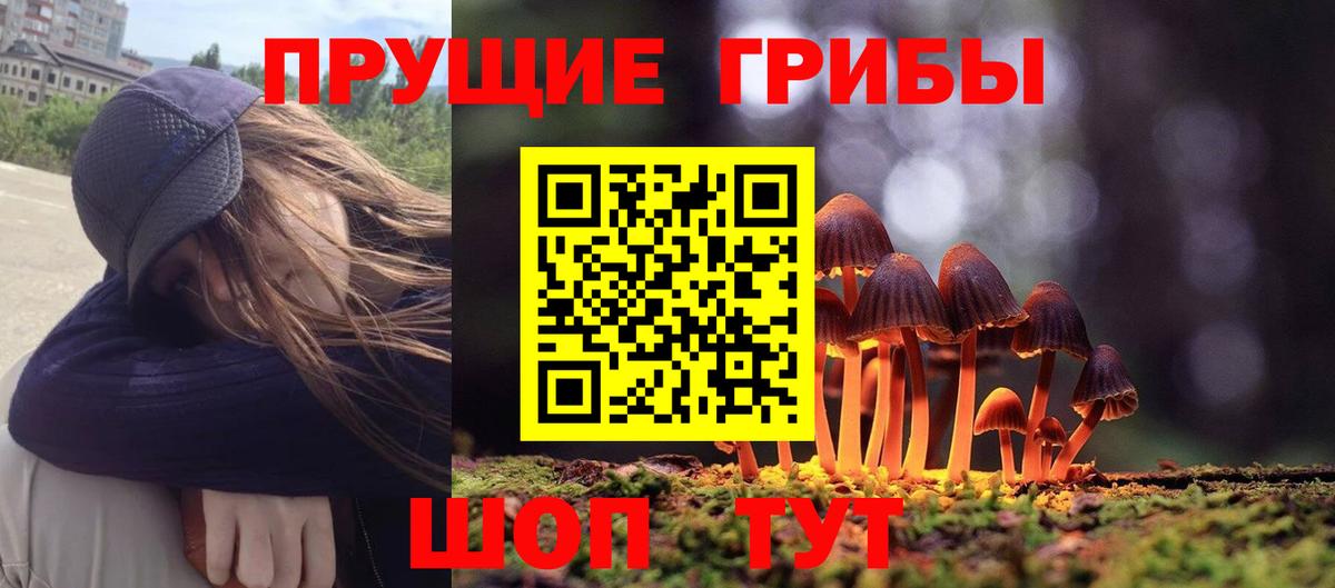 наркота  Вход с VPN  Киселёвск  Псилоцибиновые грибы Magic Shrooms 